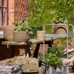 Pottekurv sjøgress 3 stk 37+32+28 cm