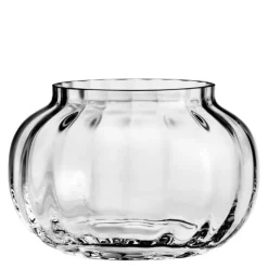 Primula telyslykt 9,5 cm klar