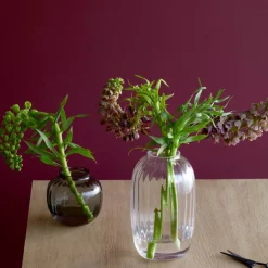 Primula vase 25,5 klar