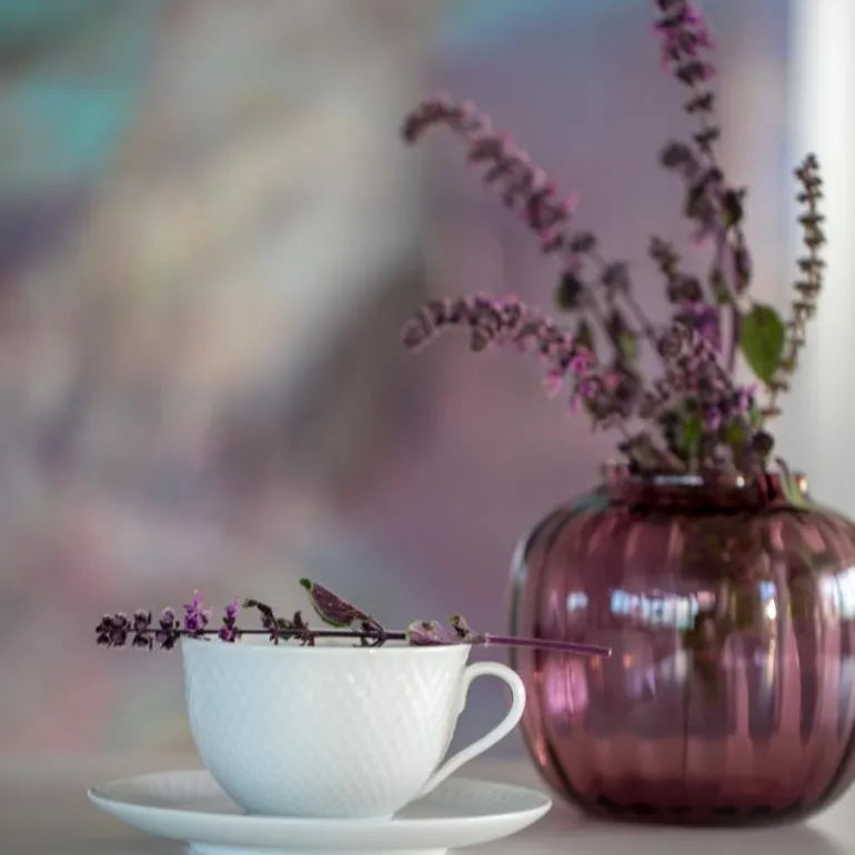 Primula vase 12,5 plomme