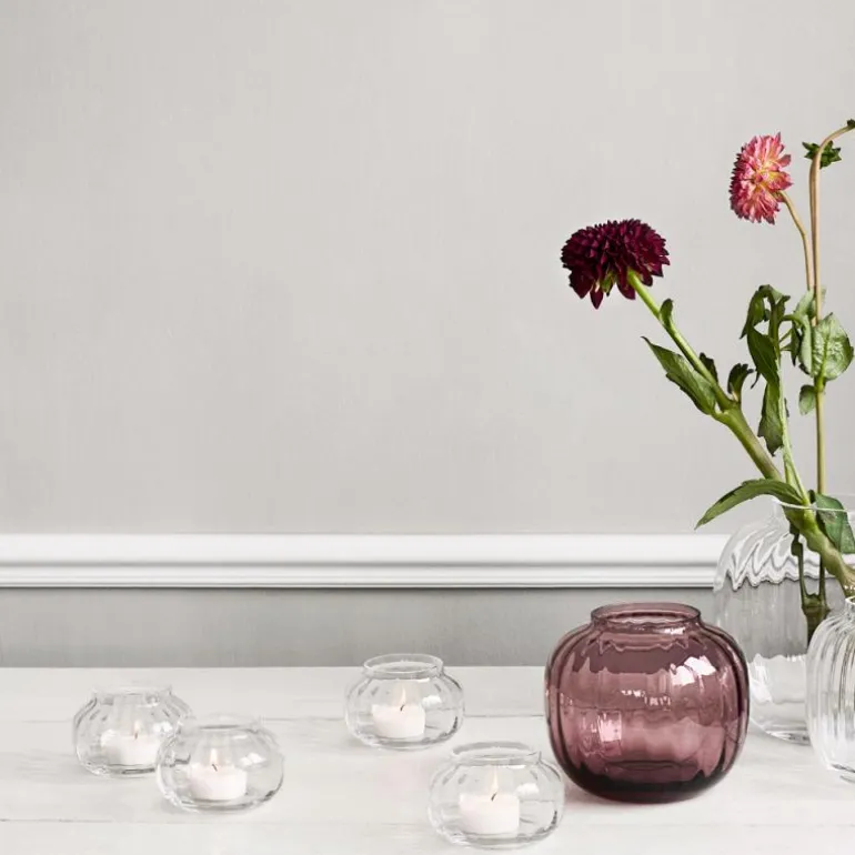 Primula vase 12,5 plomme