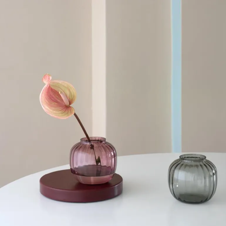 Primula vase 12,5 plomme