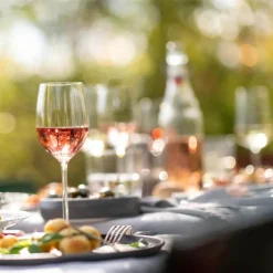 Prizma hvitvinsglass 29 cl 2 stk