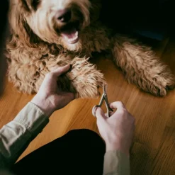 ReNew neglesaks 10 cm