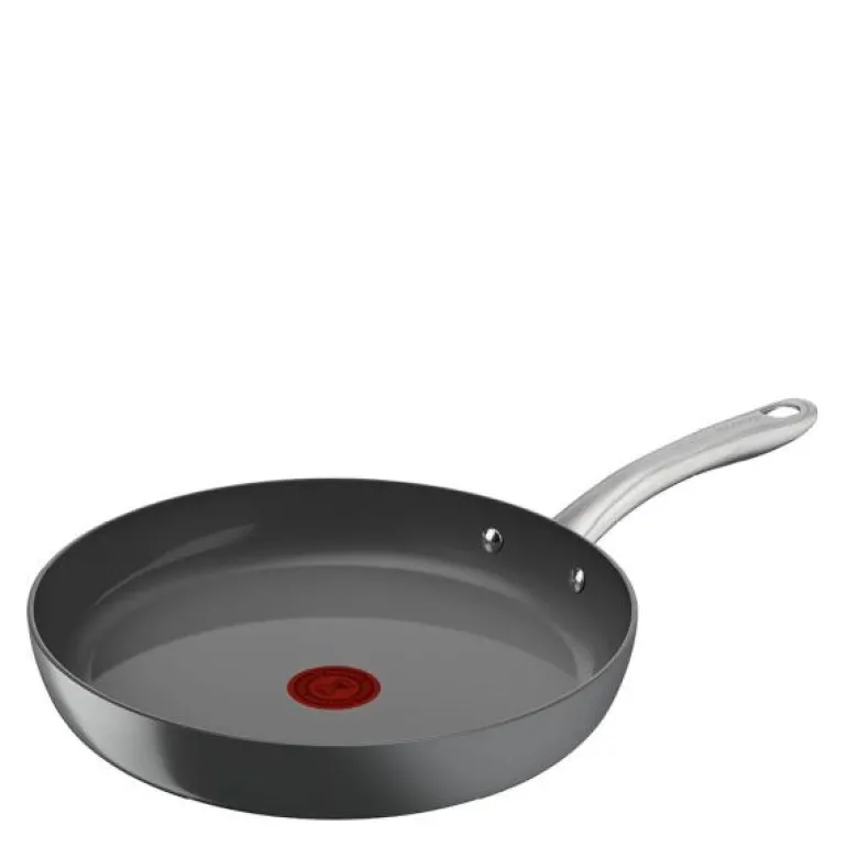 Renew+ stekepanne 30 cm grå