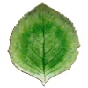 Riviera tallerken hortensiablad 22x19 cm grønn/svart