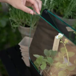 Simply Grow minidrivhus 20x42x32cm svart