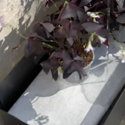 Simply Grow plantekasse svart