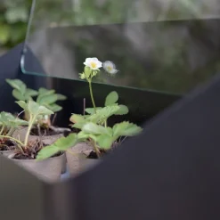 Simply Grow spirekasse svart