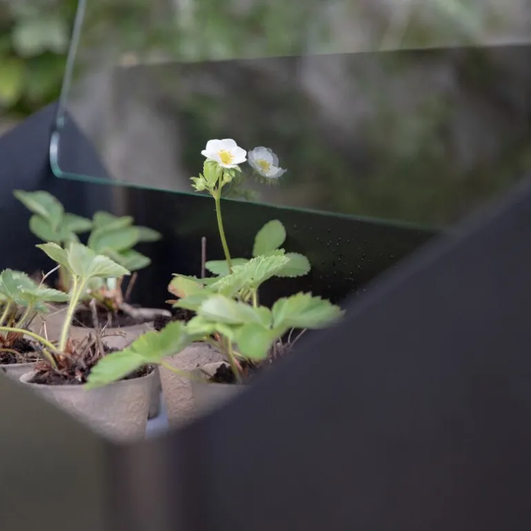 Simply Grow spirekasse svart