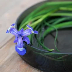 Skyline fat 28 cm koks