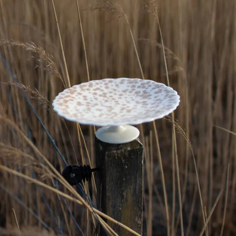 Slåpeblom kakefat 21 cm rosa