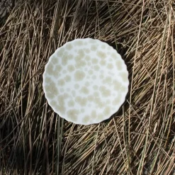 Slåpeblom miniasjett 13 cm grønn