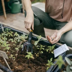 Solid™ kultivator 27,4 cm svart