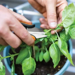 Solid™ urtesaks m/slire SP220 12,8 cm svart