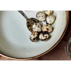 Sonja salatskål 24x9 cm brun