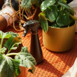 Sprayflaske 0,3L svart