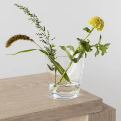 Squeeze tulipanvase 18 cm klar