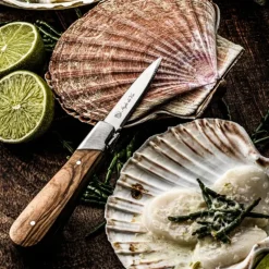 Østers/skjellkniver 2 stk olive