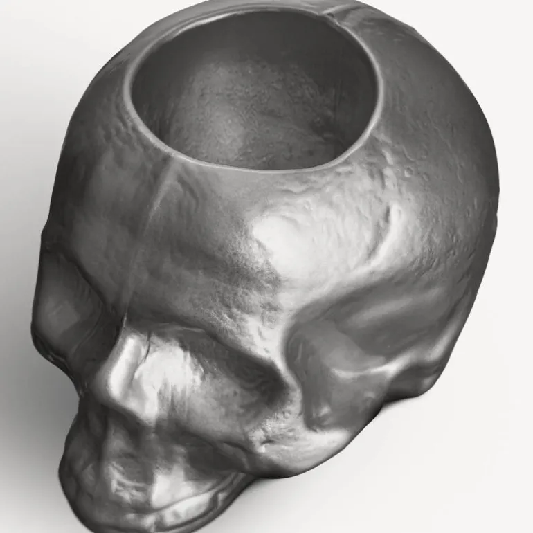 Still Life Skull lyslykt sølv