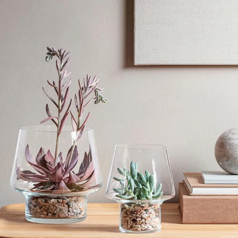 Sukkulent glassvase Ø15 cm