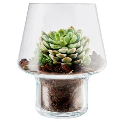 Sukkulent glassvase Ø15 cm