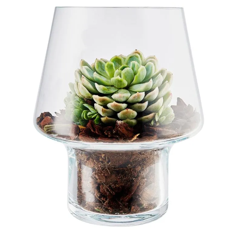 Sukkulent glassvase Ø15 cm