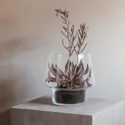 Sukkulent glassvase Ø21 cm