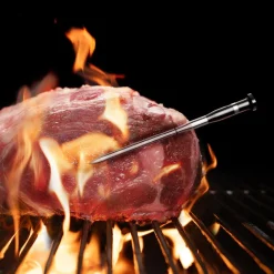 Sync One trådløst steketermometer Wifi & Bluetooth