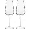 Talismano champagneglass 2 stk