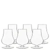 Tentazioni romglass/whiskyglass tester 23 cl 6 stk