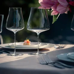 The moment pinot noir rødvinsglass 2 stk 82 cl klar