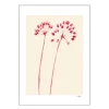 The Poster Club x Ana Frois poster 30x40 cm flowers 02