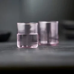 Torino shotglass 6 cl 2 stk pink