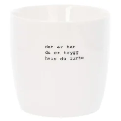 Trygve Skaug krus det er her du er trygg 30 cl hvit