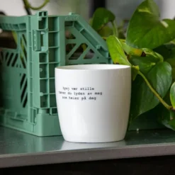 Trygve Skaug krus hysj vær stille 30 cl hvit