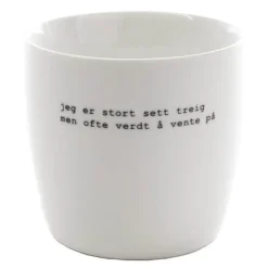 Trygve Skaug krus jeg er stort sett treig 30 cl hvit