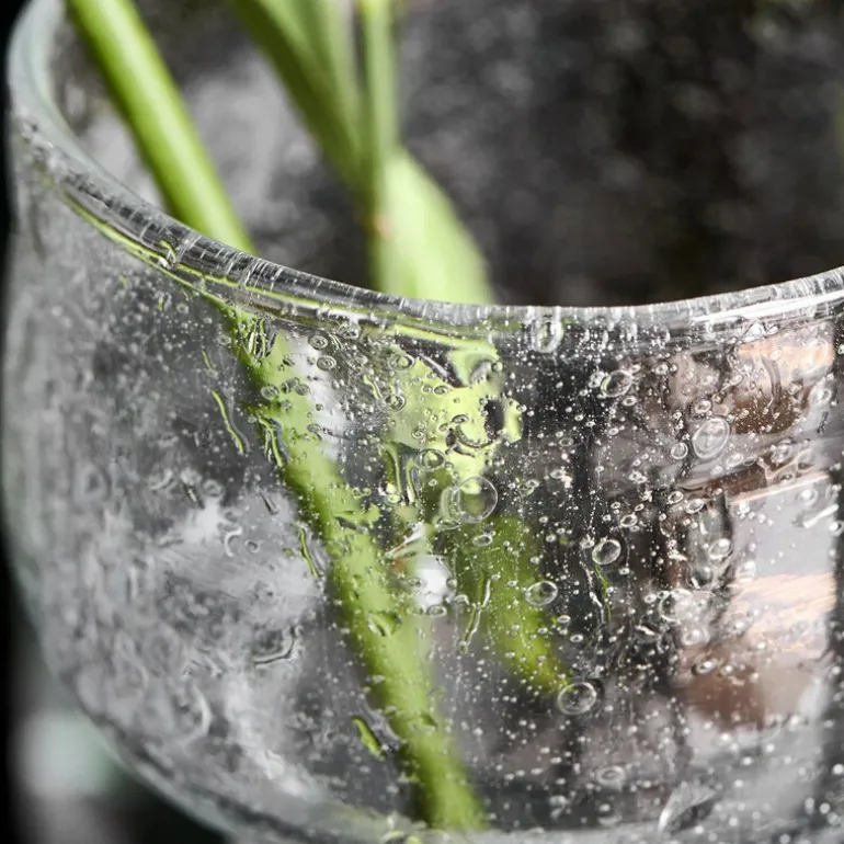 Tuur vase 8,5 cm klar