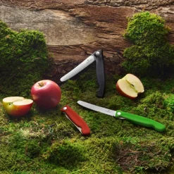 Victorinox grønnsakskniv sammenleggbar 11 cm rød