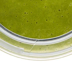 VitaMaxx flaske To Go transparent