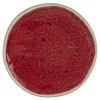 Watermelon fruktallerken 21 cm rød
